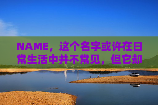 NAME,这个名字或许在日常生活中并不常见,但它却在某些领域里扮演着重要的角色。今天,让我们一起来探索这个名字背后的故事和意义